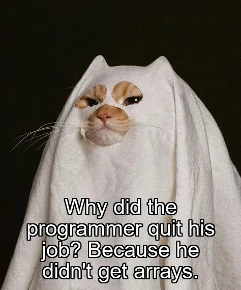 Why did the programmer quit his job? Because he didn't get arrays.