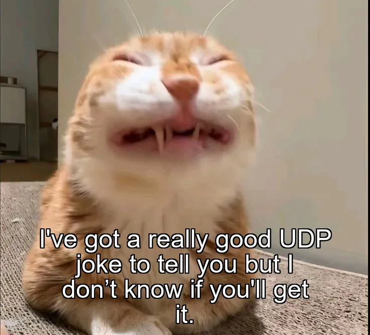 I've got a really good UDP joke to tell you but I don’t know if you'll get it.