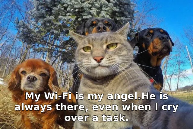 My Wi-Fi is my angel.He is always there, even when I cry over a task.