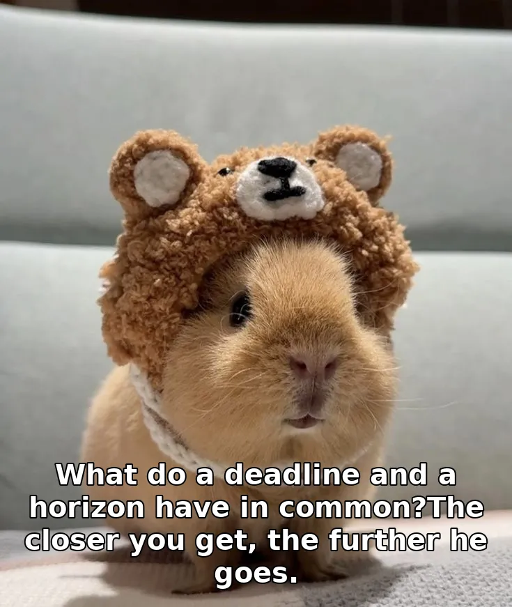 What do a deadline and a horizon have in common?The closer you get, the further he goes.