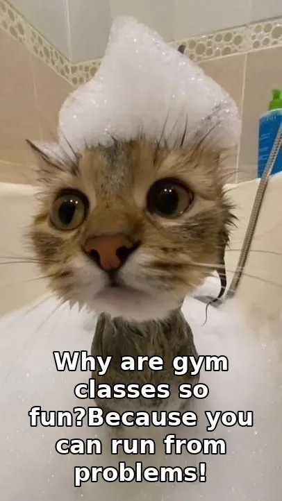 Why are gym classes so fun?Because you can run from problems!