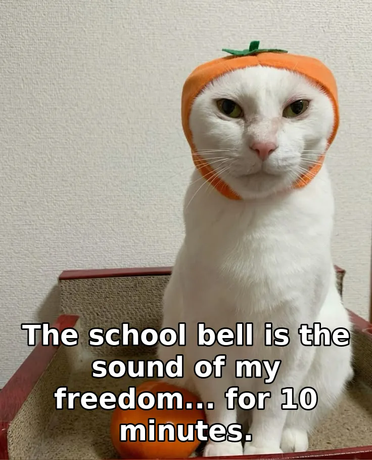 The school bell is the sound of my freedom... for 10 minutes.