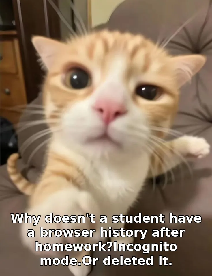 Why doesn't a student have a browser history after homework?Incognito mode.Or deleted it.