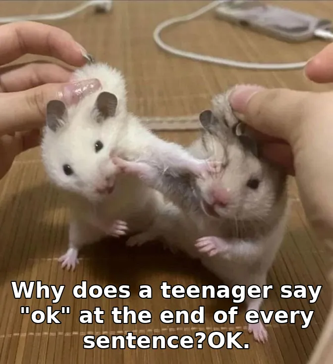 Why does a teenager say "ok" at the end of every sentence?OK.