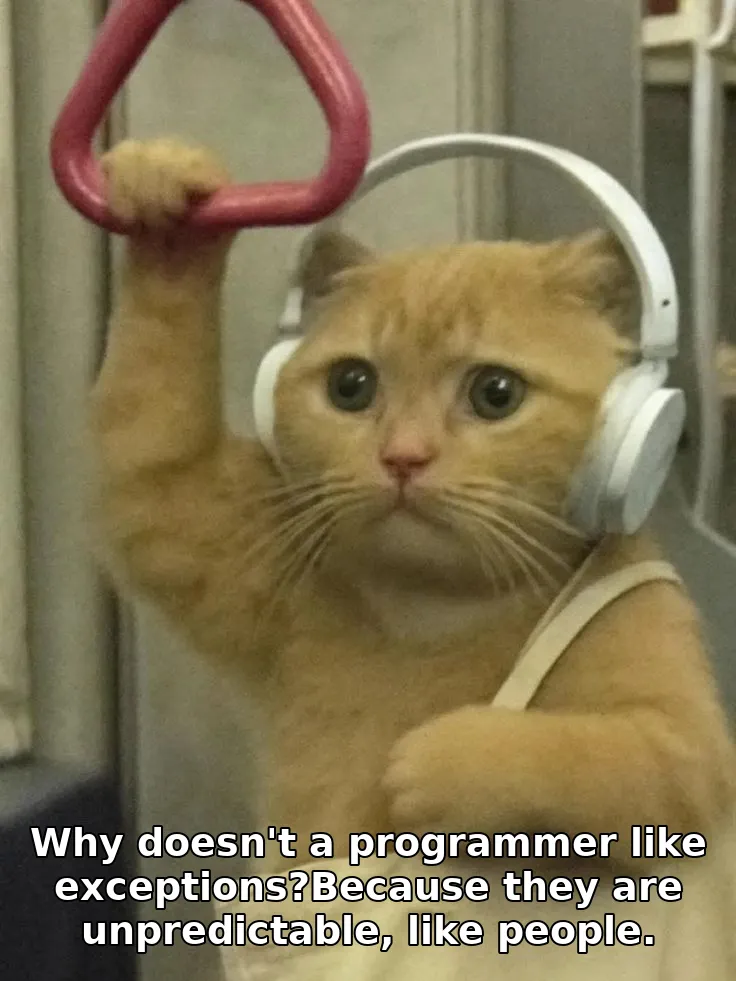 Why doesn't a programmer like exceptions?Because they are unpredictable, like people.