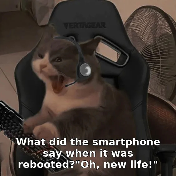 What did the smartphone say when it was rebooted?"Oh, new life!"