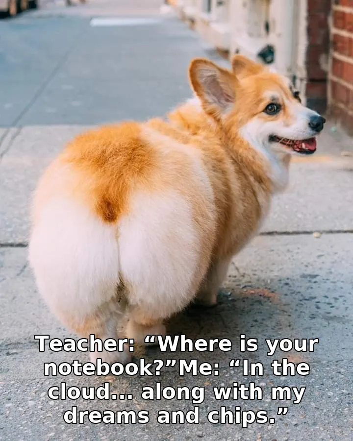 Teacher: “Where is your notebook?”Me: “In the cloud... along with my dreams and chips.”