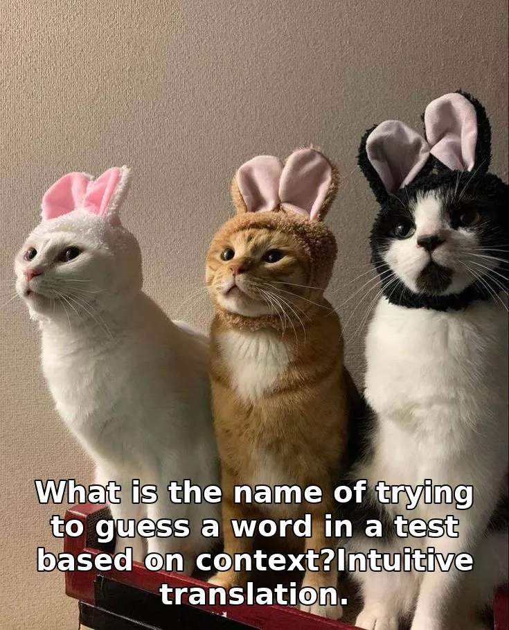What is the name of trying to guess a word in a test based on context?Intuitive translation.