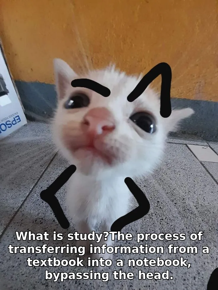 What is study?The process of transferring information from a textbook into a notebook, bypassing the head.