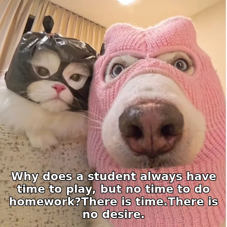 Why does a student always have time to play, but no time to do homework?There is time.There is no desire.