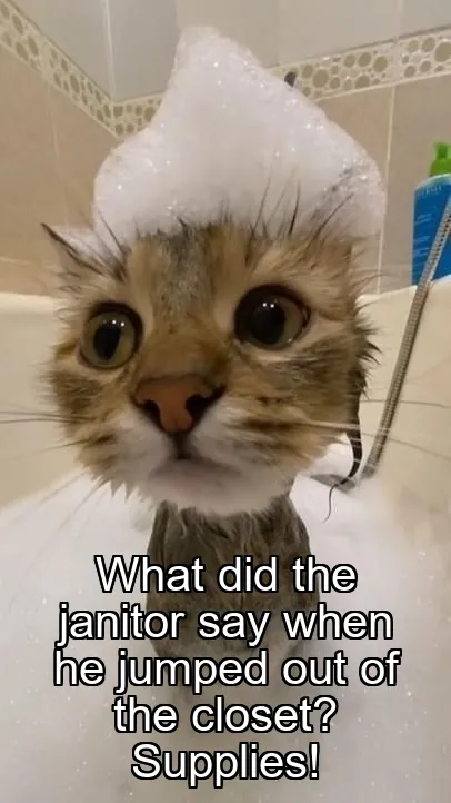 What did the janitor say when he jumped out of the closet? Supplies!