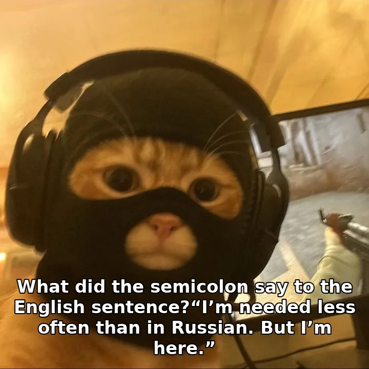 What did the semicolon say to the English sentence?“I’m needed less often than in Russian. But I’m here.”
