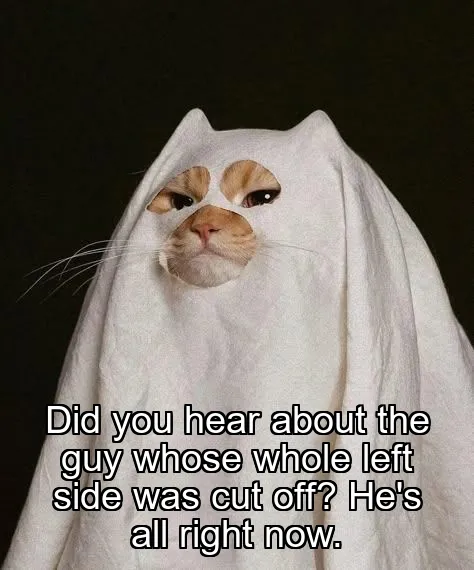 Did you hear about the guy whose whole left side was cut off? He's all right now.