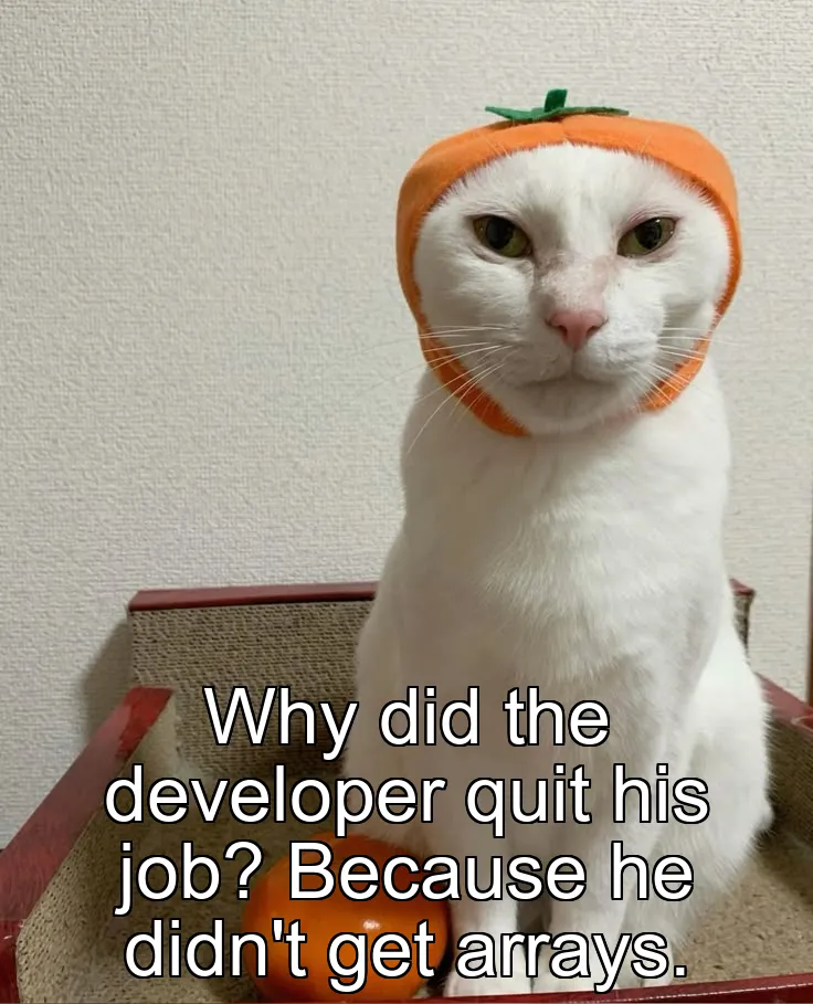 Why did the developer quit his job? Because he didn't get arrays.