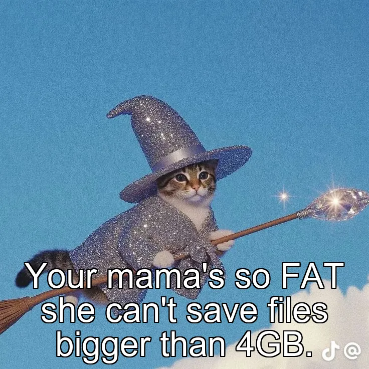 Your mama's so FAT she can't save files bigger than 4GB.