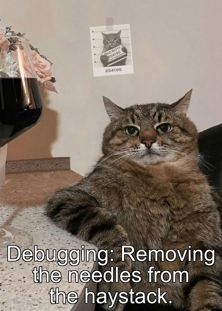 Debugging: Removing the needles from the haystack.