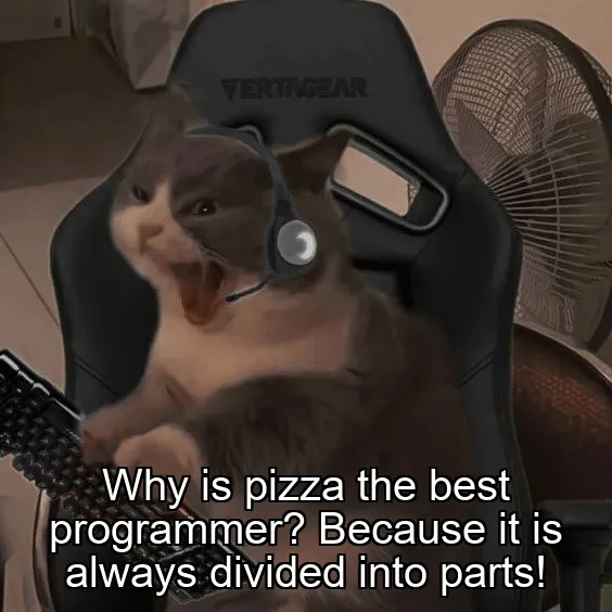 Why is pizza the best programmer? Because it is always divided into parts!
