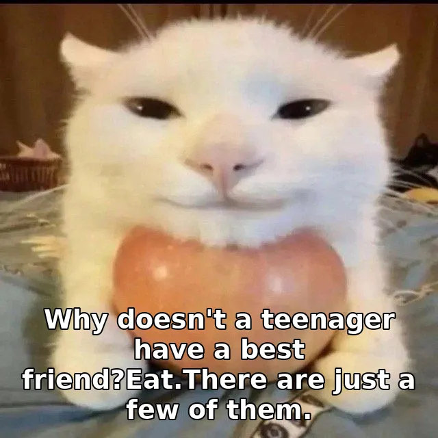 Why doesn't a teenager have a best friend?Eat.There are just a few of them.