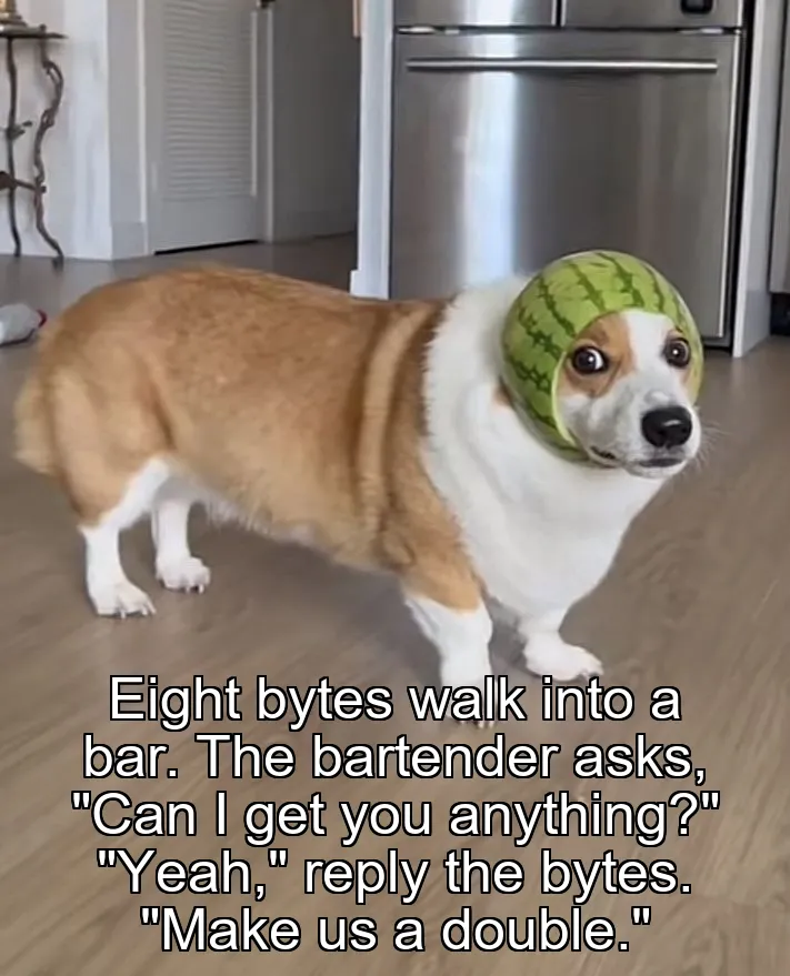 Eight bytes walk into a bar.
The bartender asks, "Can I get you anything?"
"Yeah," reply the bytes.
"Make us a double."