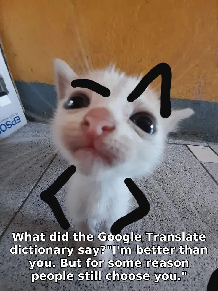 What did the Google Translate dictionary say?"I'm better than you. But for some reason people still choose you."