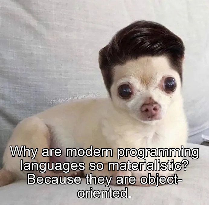 Why are modern programming languages so materialistic? Because they are object-oriented.