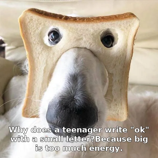 Why does a teenager write "ok" with a small letter?Because big is too much energy.