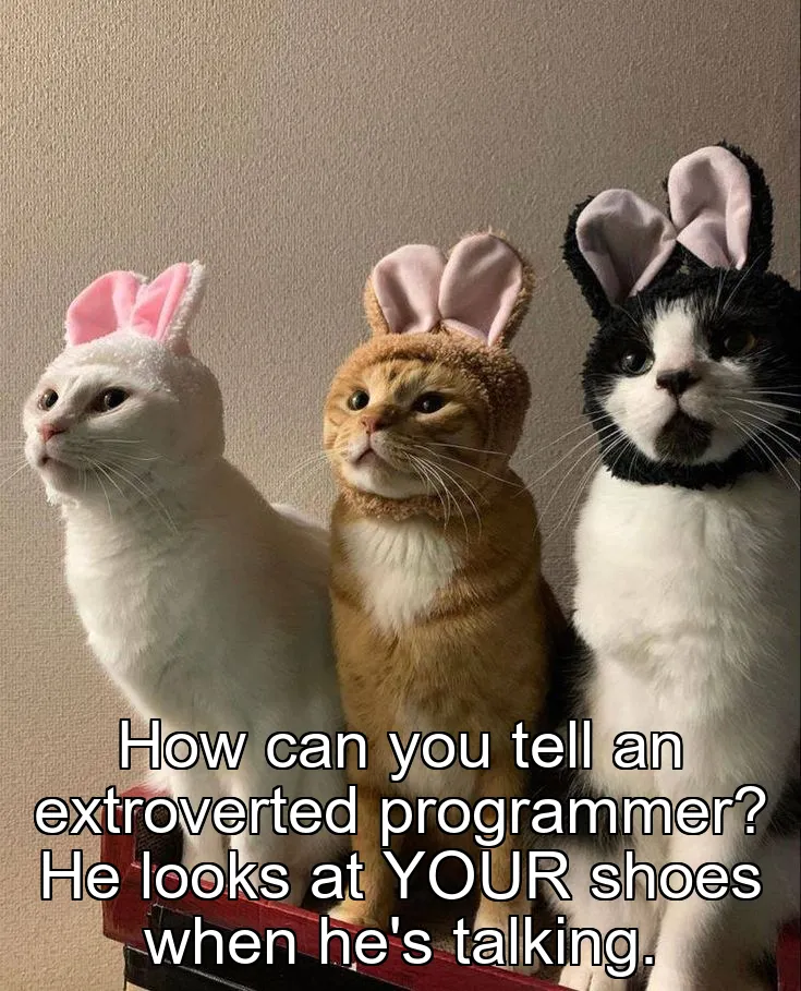 How can you tell an extroverted programmer? He looks at YOUR shoes when he's talking.
