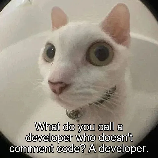 What do you call a developer who doesn't comment code? A developer.