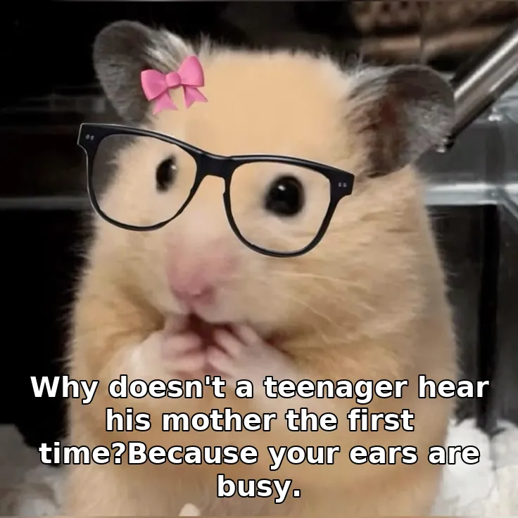 Why doesn't a teenager hear his mother the first time?Because your ears are busy.