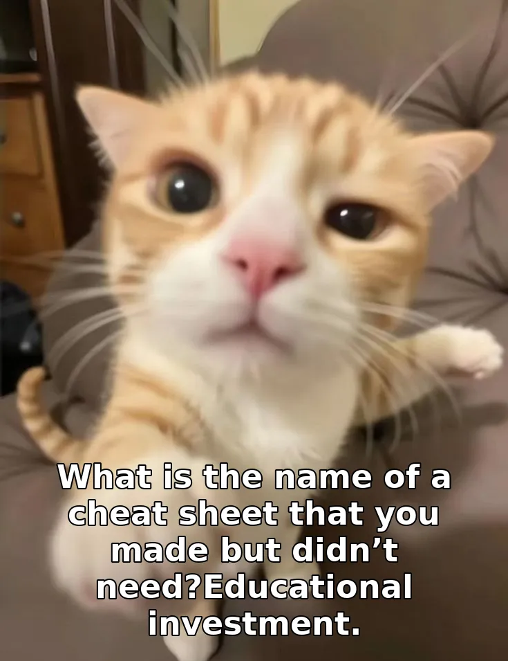 What is the name of a cheat sheet that you made but didn’t need?Educational investment.