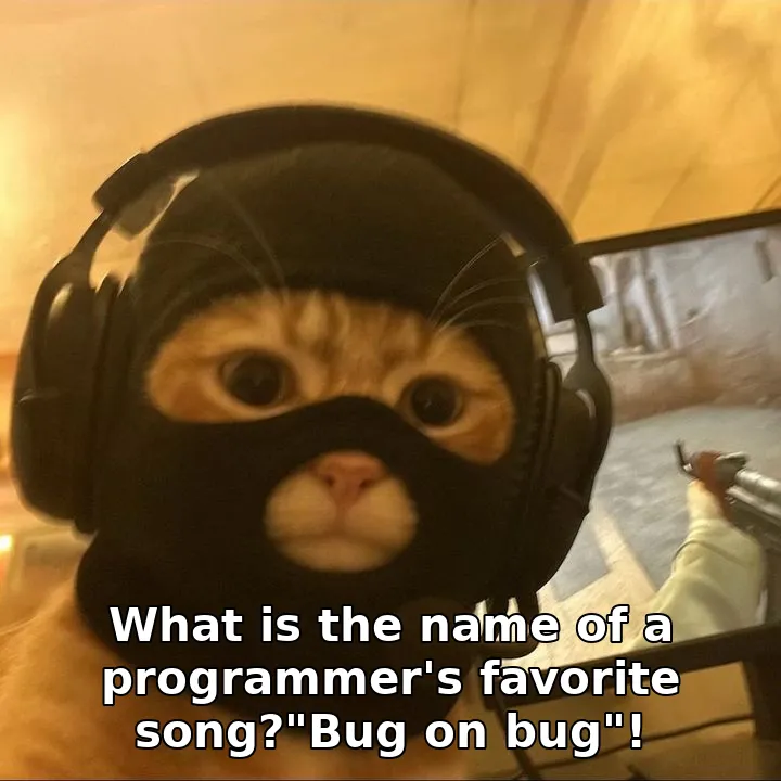 What is the name of a programmer's favorite song?"Bug on bug"!