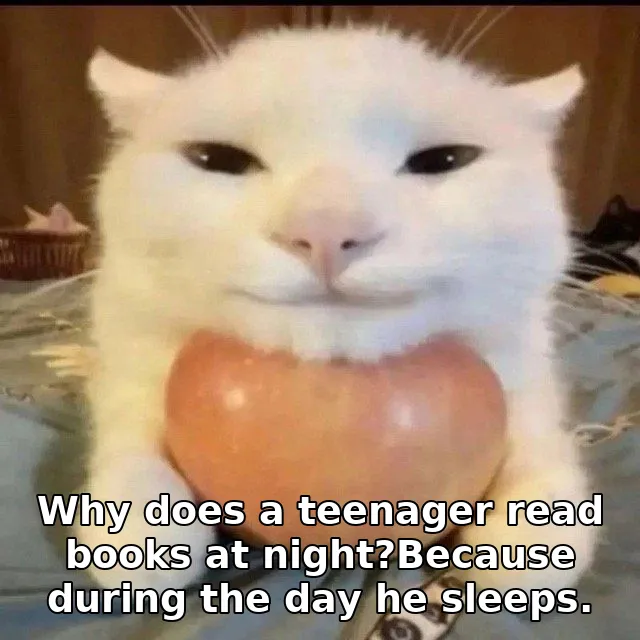 Why does a teenager read books at night?Because during the day he sleeps.