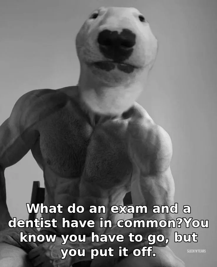 What do an exam and a dentist have in common?You know you have to go, but you put it off.