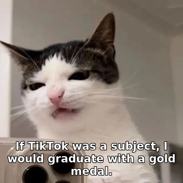 If TikTok was a subject, I would graduate with a gold medal.