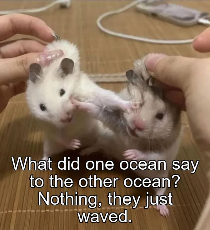 What did one ocean say to the other ocean? Nothing, they just waved.