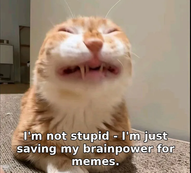 I'm not stupid - I'm just saving my brainpower for memes.