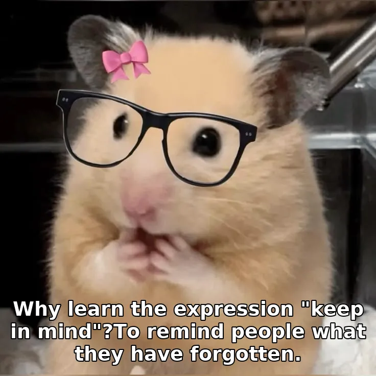 Why learn the expression "keep in mind"?To remind people what they have forgotten.