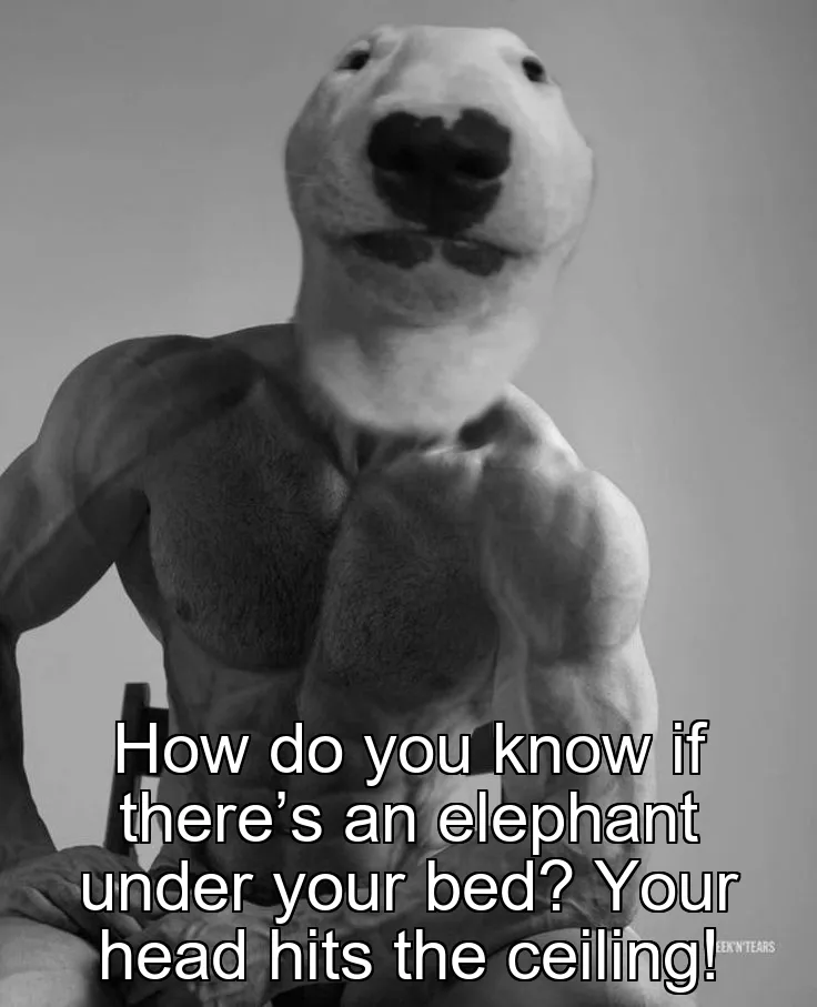 How do you know if there’s an elephant under your bed? Your head hits the ceiling!