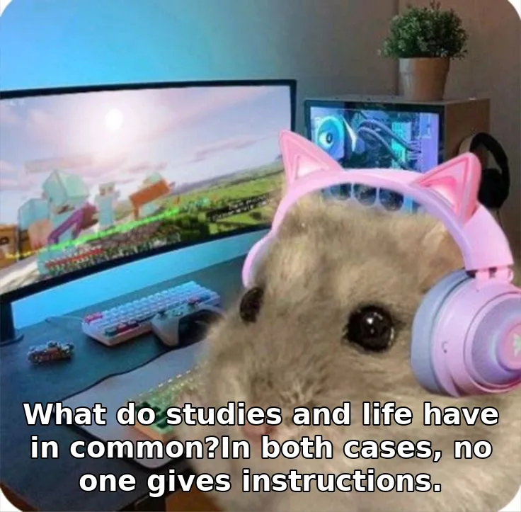 What do studies and life have in common?In both cases, no one gives instructions.