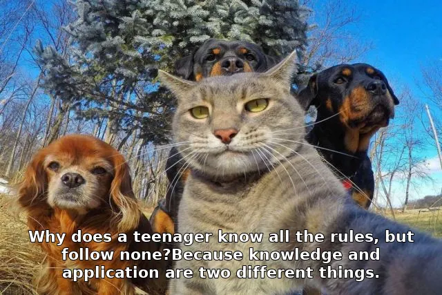 Why does a teenager know all the rules, but follow none?Because knowledge and application are two different things.