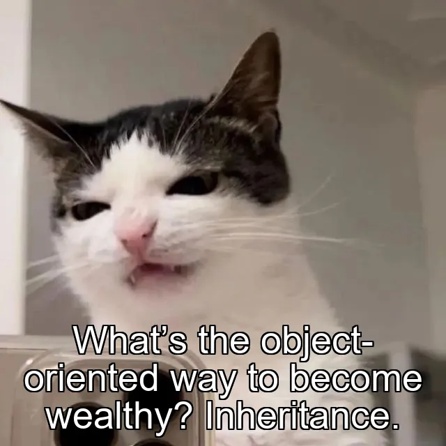 What’s the object-oriented way to become wealthy? Inheritance.