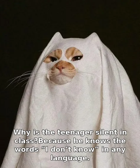 Why is the teenager silent in class?Because he knows the words “I don’t know” in any language.