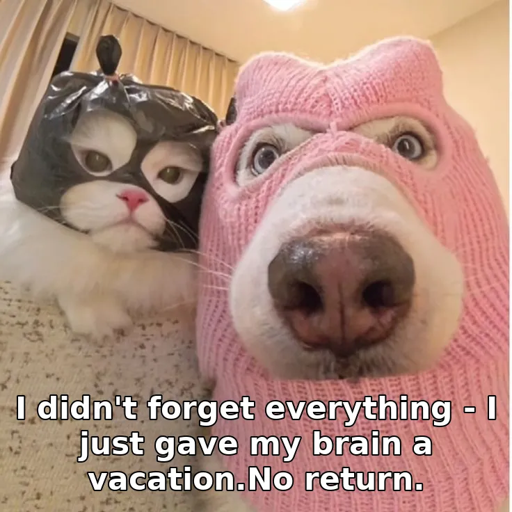 I didn't forget everything - I just gave my brain a vacation.No return.