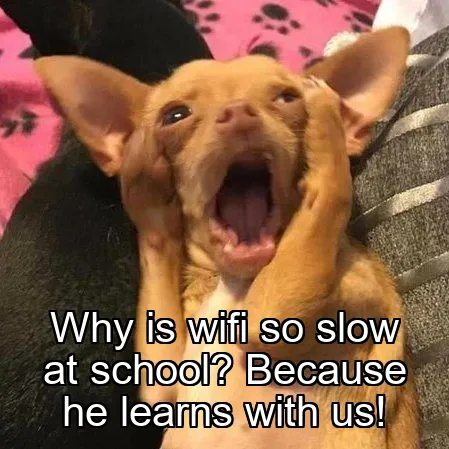 Why is wifi so slow at school? Because he learns with us!