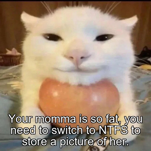 Your momma is so fat, you need to switch to NTFS to store a picture of her.