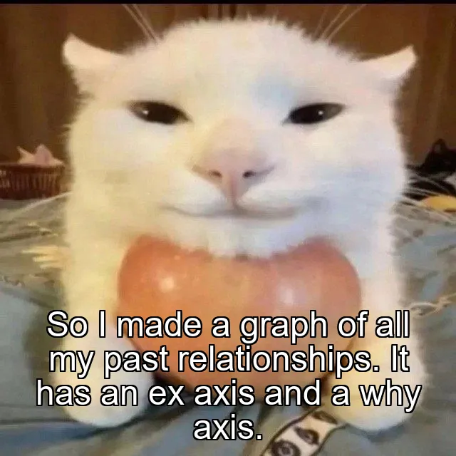 So I made a graph of all my past relationships. It has an ex axis and a why axis.