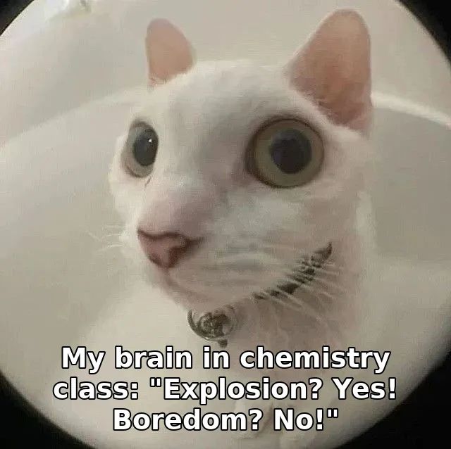 My brain in chemistry class: "Explosion? Yes! Boredom? No!"