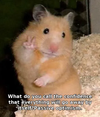 What do you call the confidence that everything will go away by itself?Passive optimism.