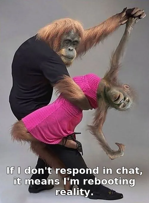 If I don't respond in chat, it means I'm rebooting reality.