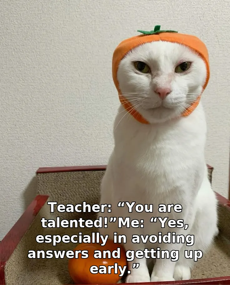 Teacher: “You are talented!”Me: “Yes, especially in avoiding answers and getting up early.”
